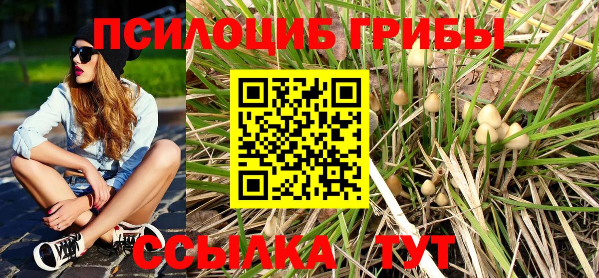 Елизово  Галлюциногенные грибы Cubensis  Галлюциногенные грибы ЛСД  Вход с VPN 