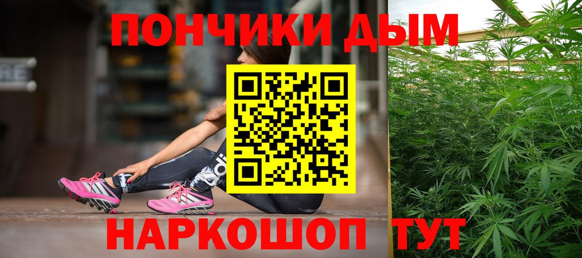Шишки марихуана планчик Елизово